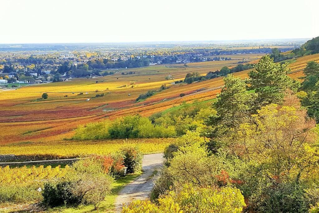 La Maison De L'Ecu : Charme Et Vue Incroyable 본느 외부 사진