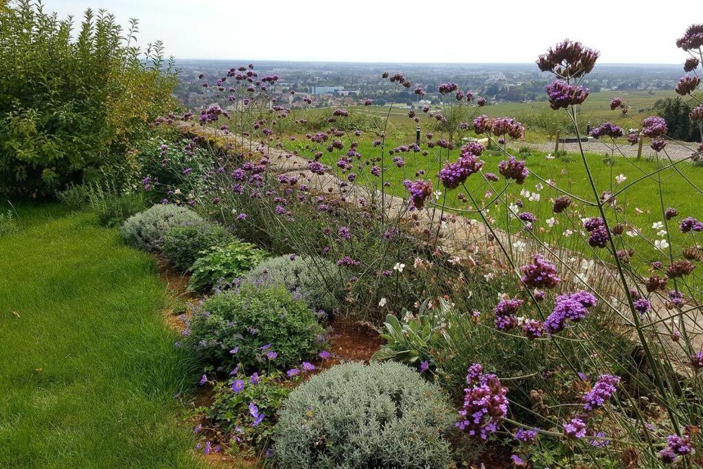 La Maison De L'Ecu : Charme Et Vue Incroyable 본느 외부 사진